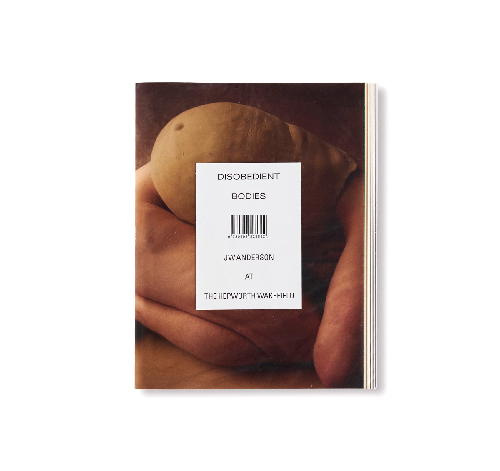 DISOBEDIENT BODIES by JW Anderson – twelvebooks