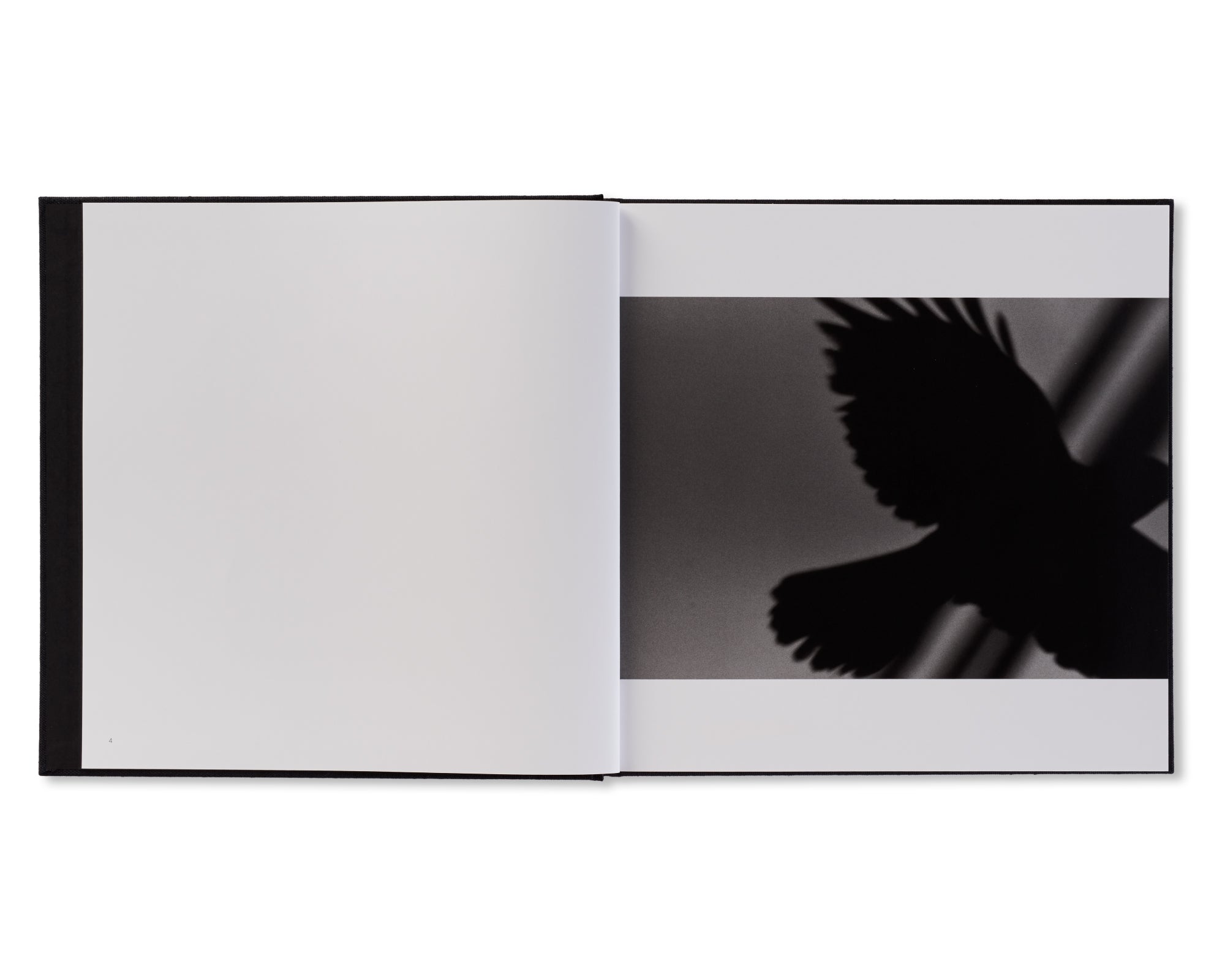 鴉 / RAVENS by Masahisa Fukase – twelvebooks
