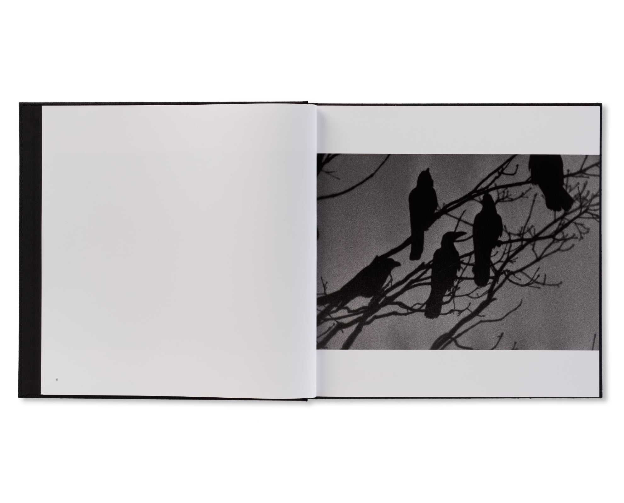 鴉 / RAVENS by Masahisa Fukase – twelvebooks