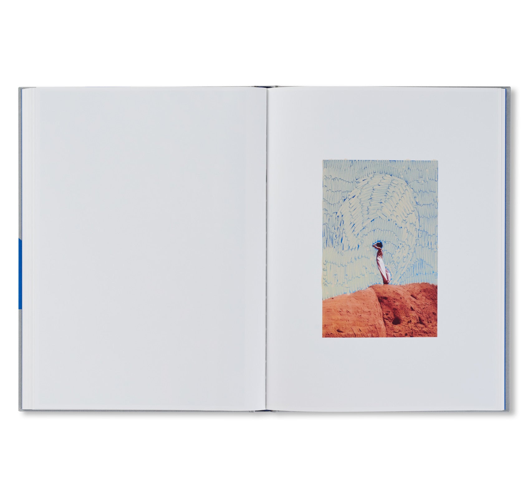 ROXANE II by Viviane Sassen [FIRST EDITION] – twelvebooks