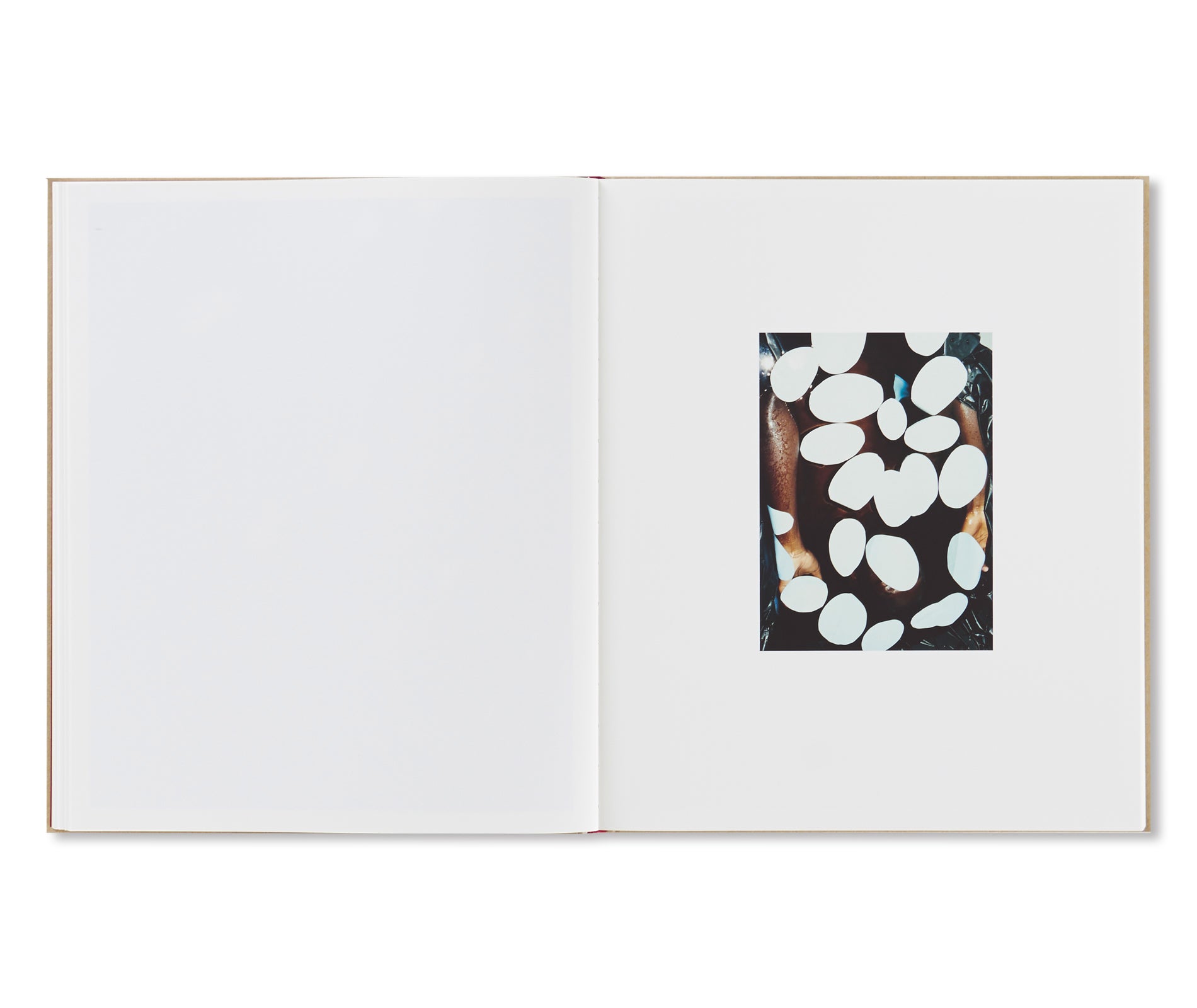 PAINTINGS by Harley Weir – twelvebooks