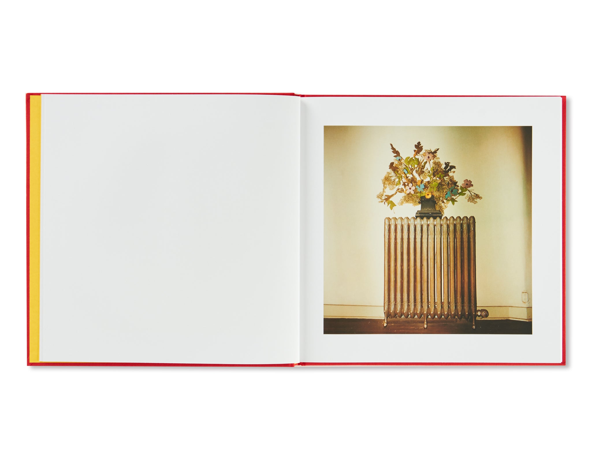 2 1/4 by William Eggleston – twelvebooks