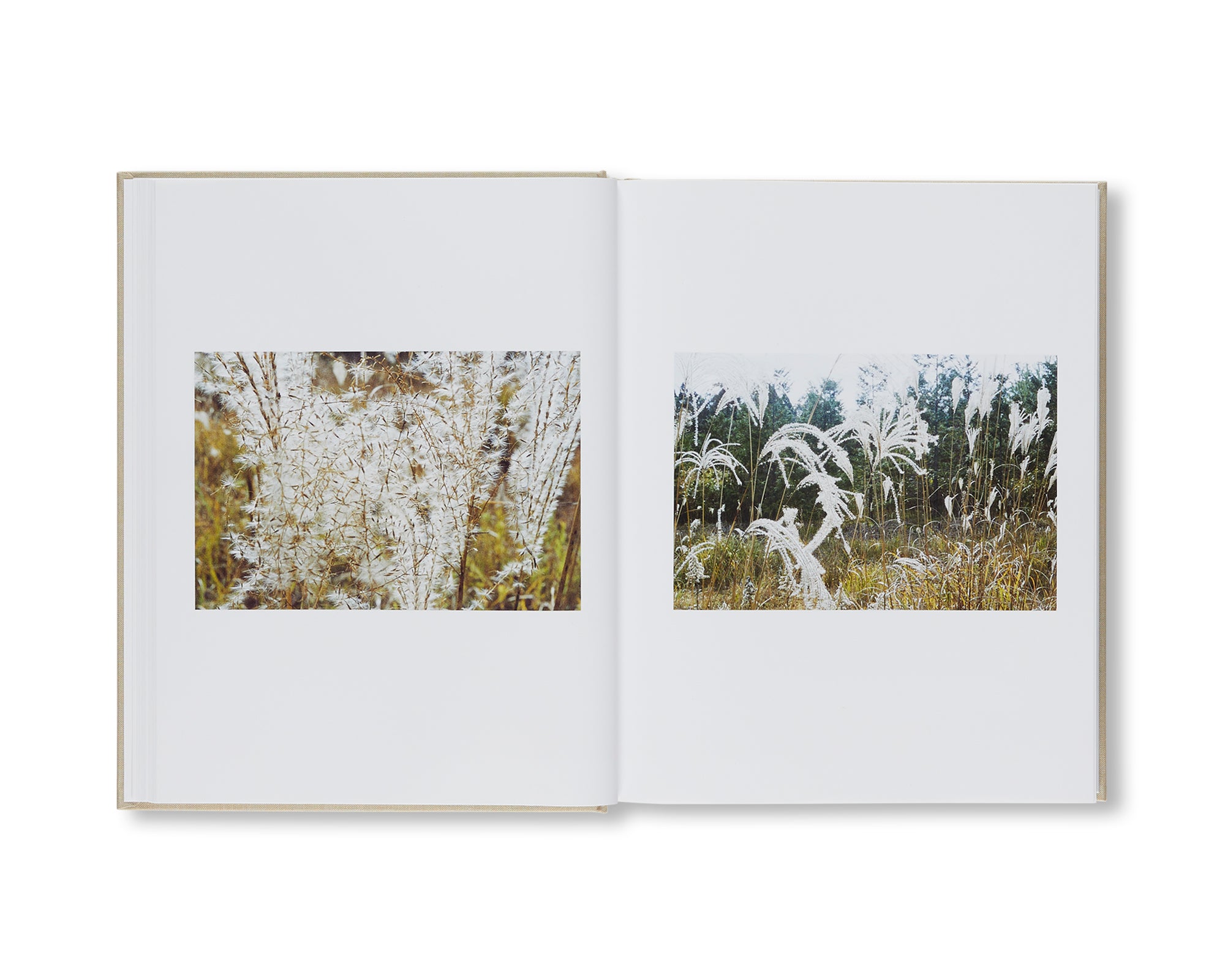 SHIOTANI by Anders Edström [SIGNED] – twelvebooks