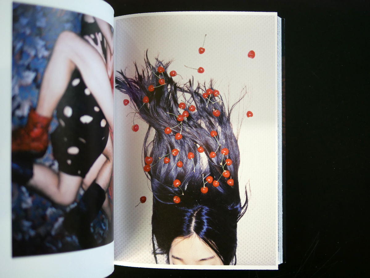 アート・デザイン・音楽 Lin zhipeng Flower and Fruits アート