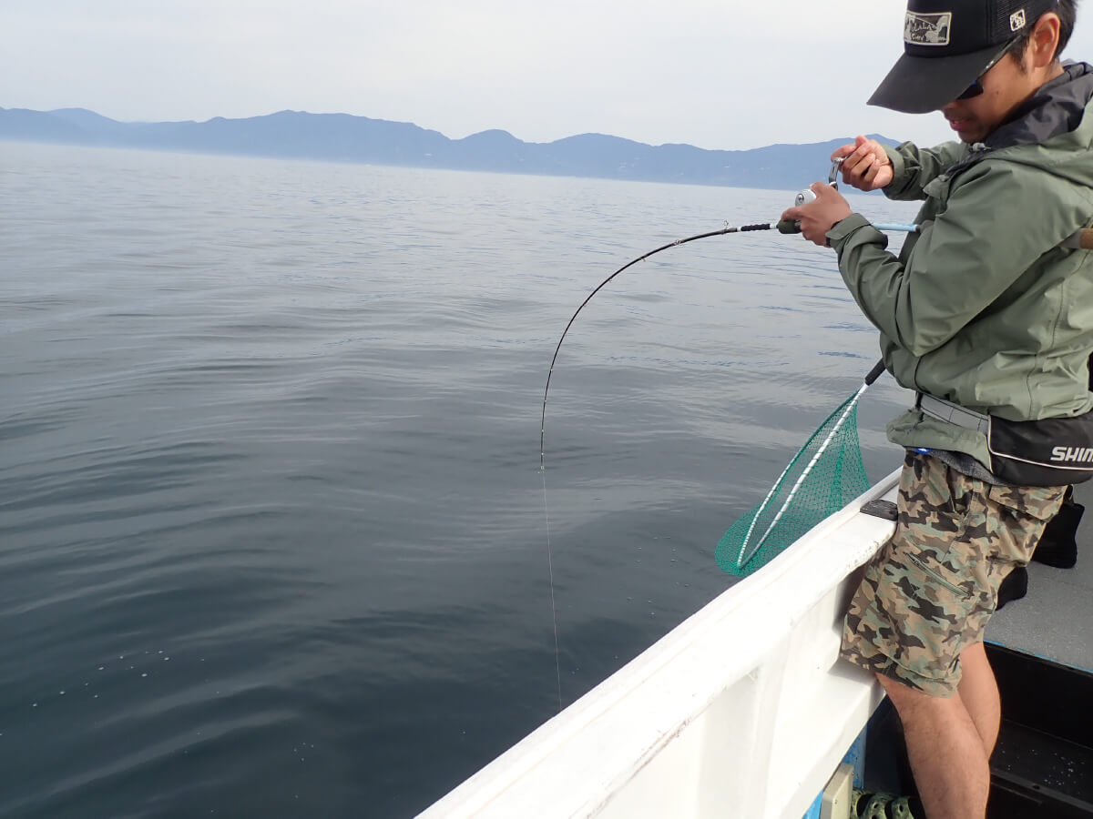 TULALA | Ford every stream | » Mixture C62H