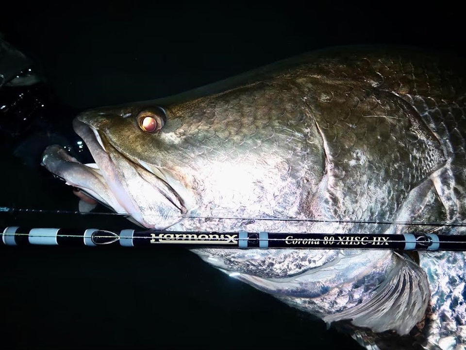 TULALA | Ford every stream | » 【公式】数々のドラマを生み出した