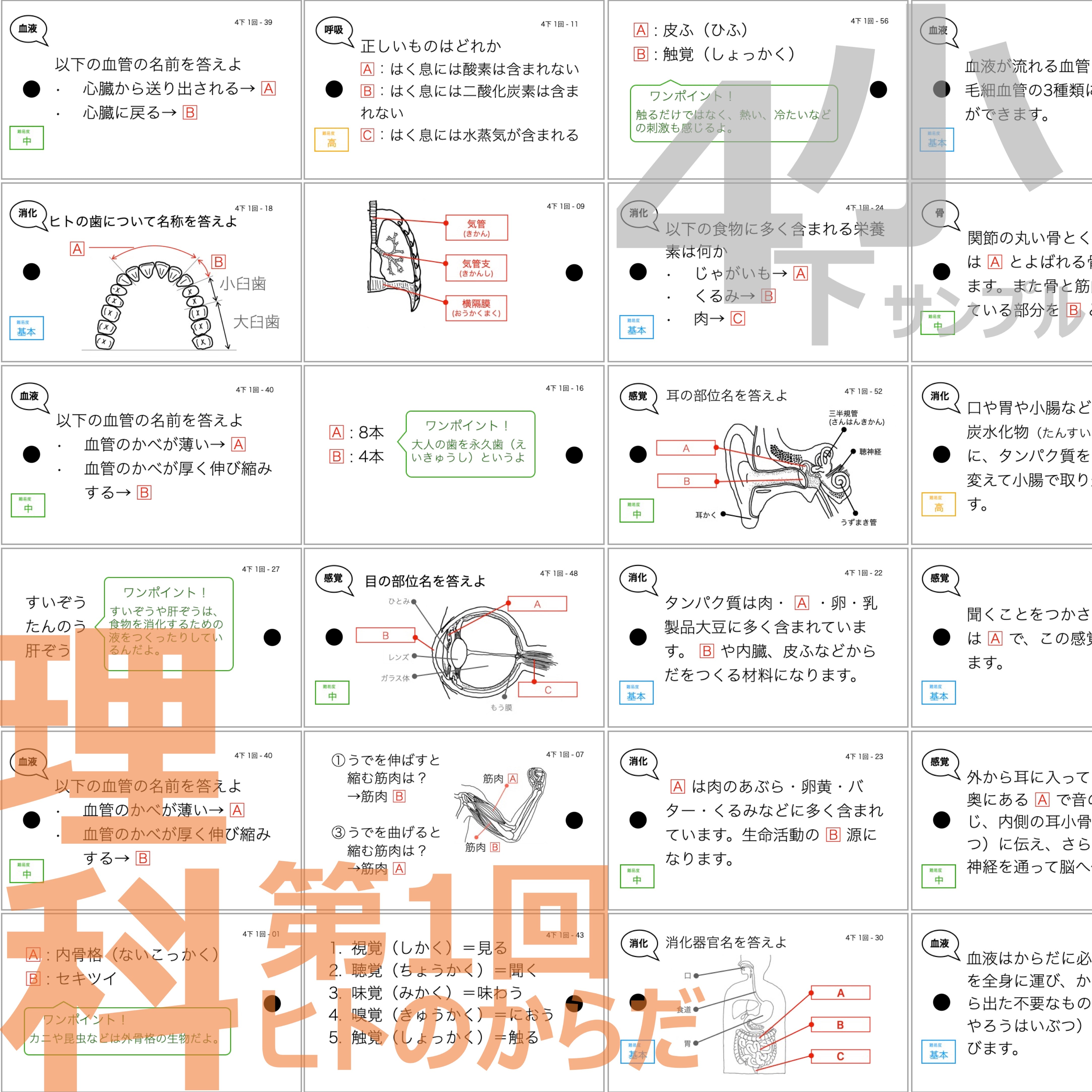 中学受験 暗記カード）4年下 全セット 社会・理科 1-18回 – TT1