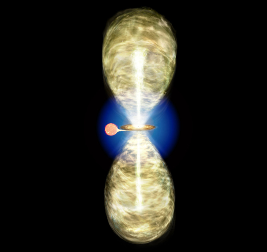 星 海王星【CC4054-68L】ネプチューン | 欲しいっなかいしうブログ