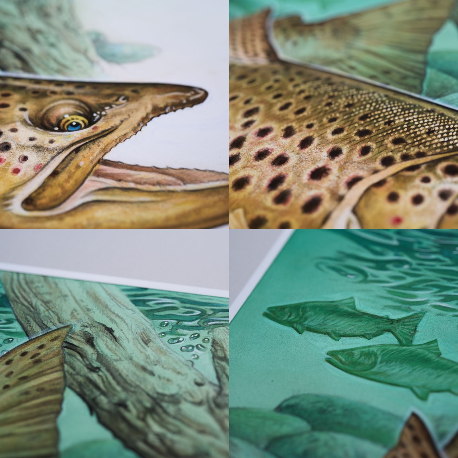 中禅寺湖「ブラウントラウト」原画 – Susumu Uchida