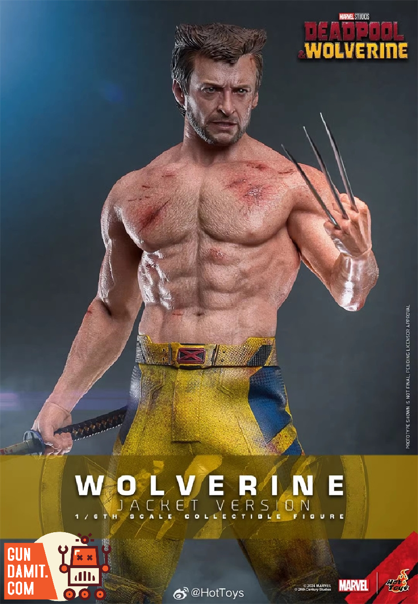 Hot Toys 1/6 MMS756 Deadpool & Wolverine Wolverine Uniform Version