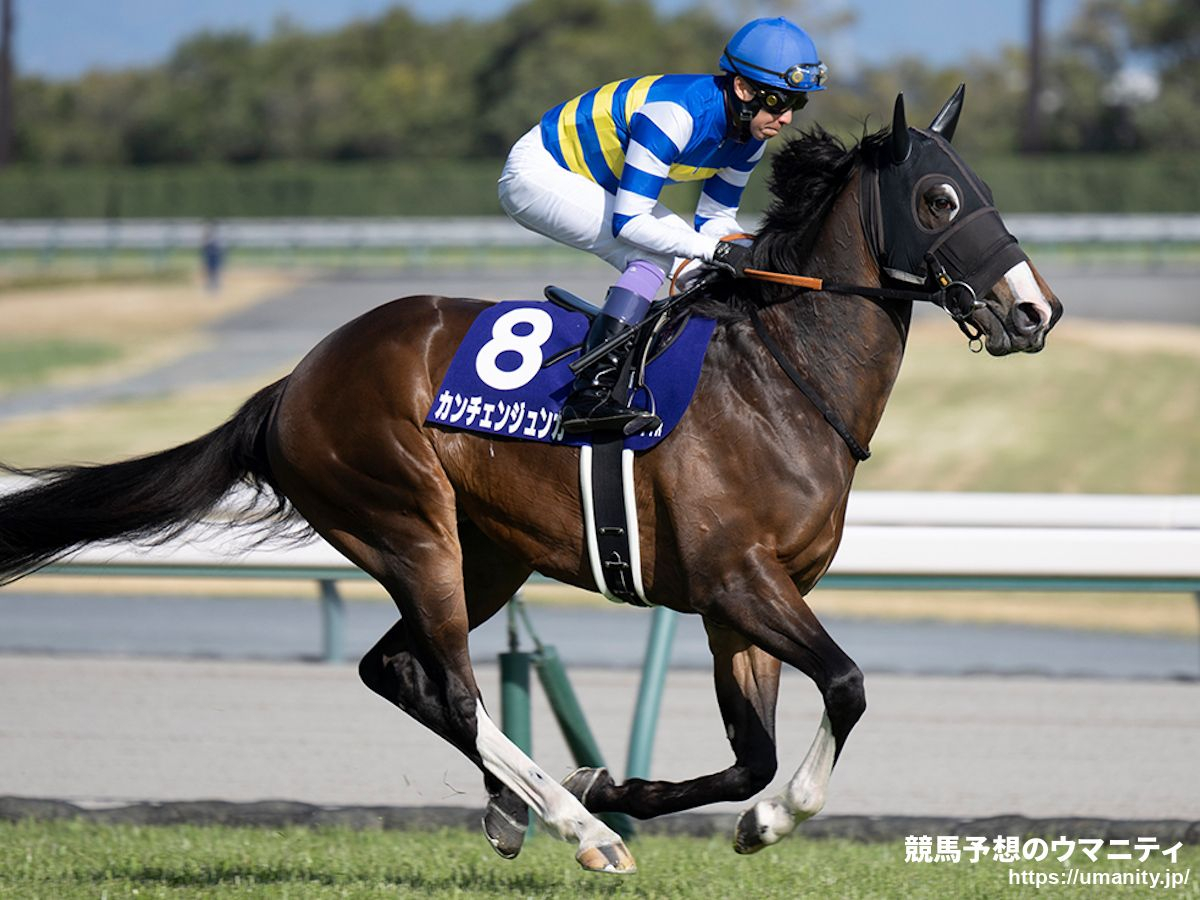 スプリンターズS2025】伊吹雅也のピックアップ競馬データ～特選重賞
