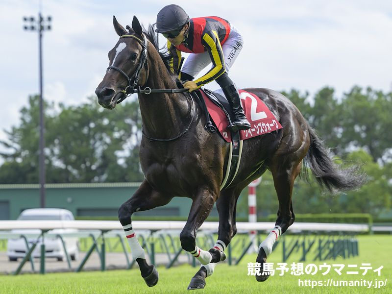 ヴィクトリアマイル2025】過去データの傾向と対策 内枠が猛烈な強さ！1