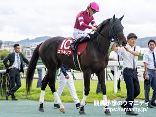 シェイクユアハート - 競走馬データTOP｜競馬予想のウマニティ