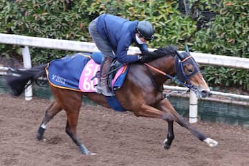 桜花賞】ジュエラー、シンハに2センチ差でリベンジ！｜競馬ニュース