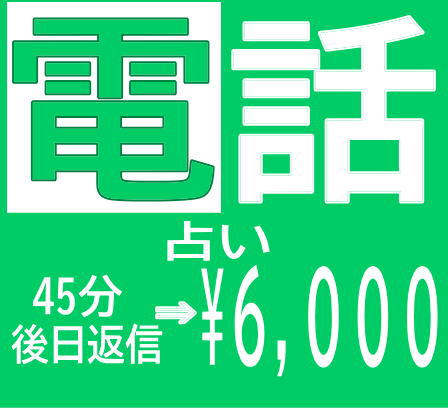 占い料金電話占い |手相占いウミネコ堂 | 三重県四日市鈴鹿桑名の