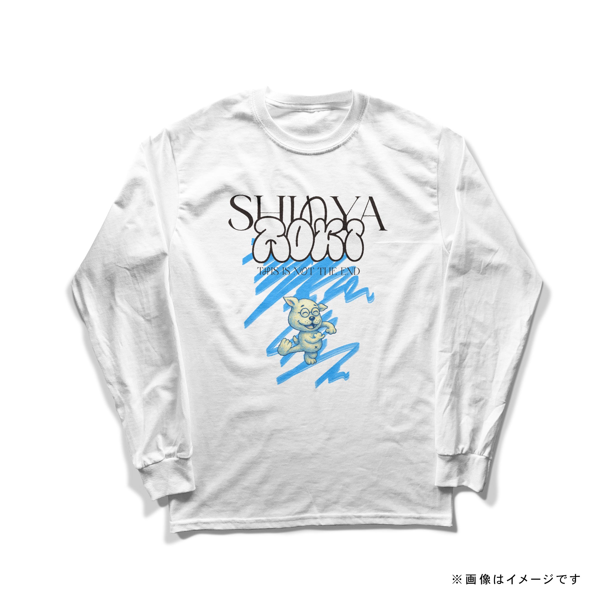 青木真也 TEAM Tシャツ / ロングスリーブ Tシャツ