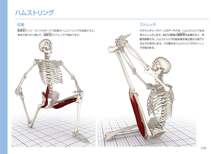 送料無料】図解YOGAアナトミー:筋骨格編 - 医師が教えるヨガの機能解剖