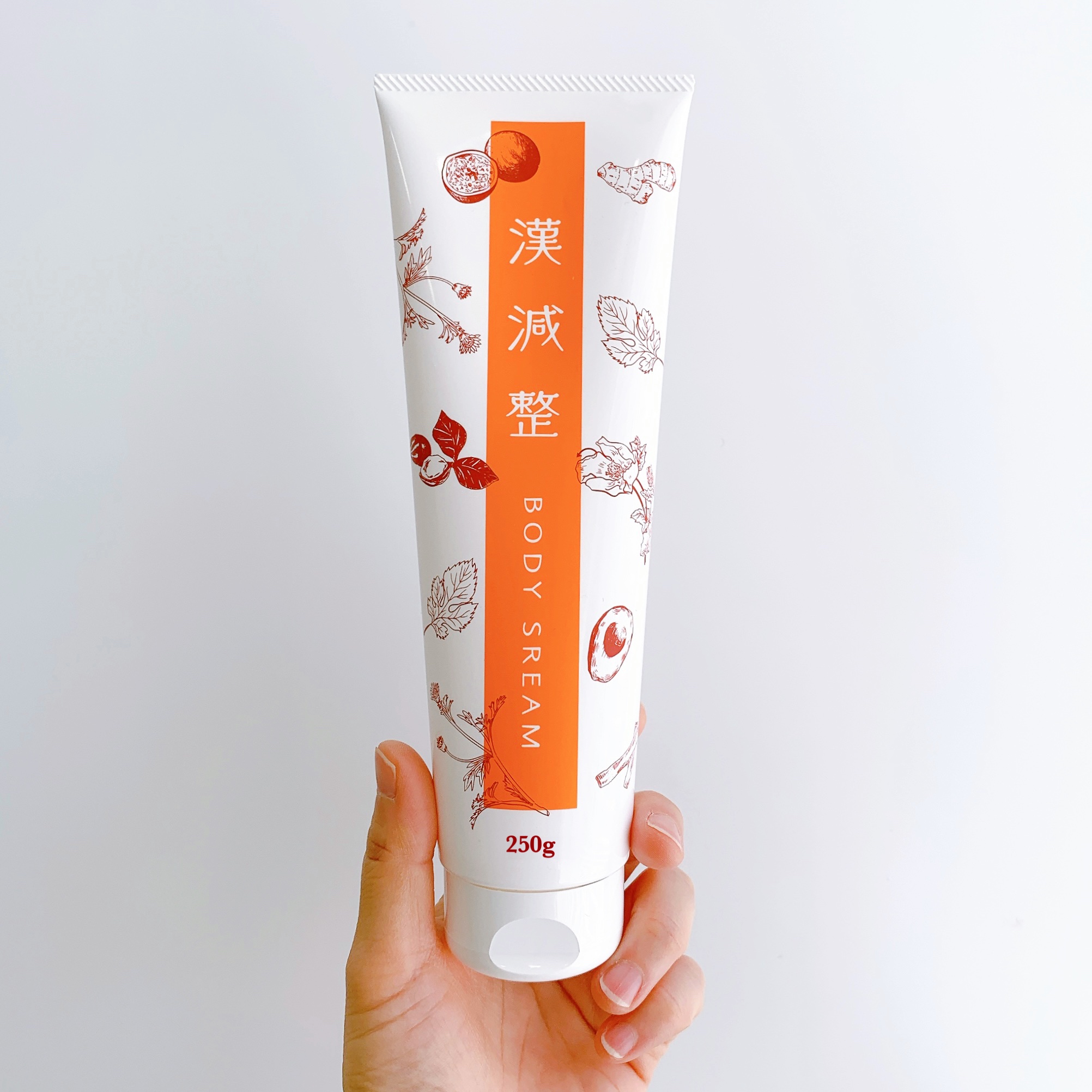 漢減整（かんげんせい） - 株式会社UTP