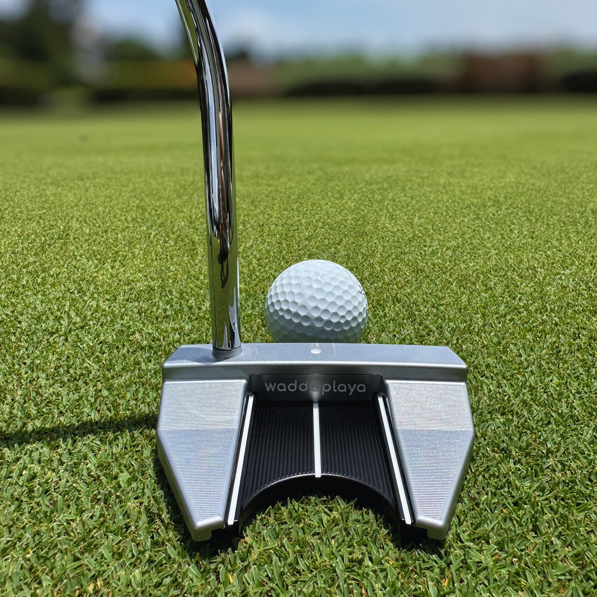 Black Finch Putter - Scotty Cameron Style Face Balanced Mallet