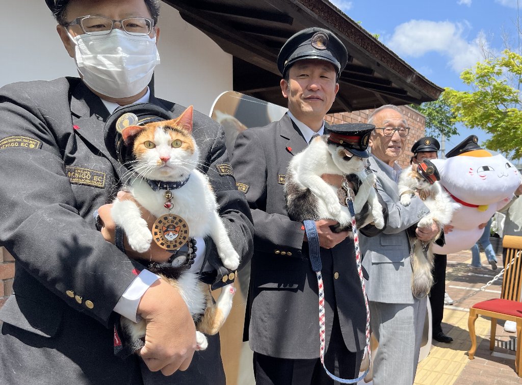 たま駅長26歳のお誕生日に「ジャンボたま駅長」現る！ | 和歌山電鐵