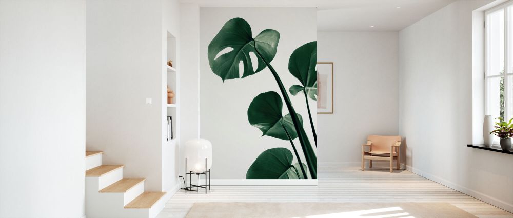 PHOTOWALL / Monstera Natural XXXVIII (e332307) | 輸入壁紙専門店