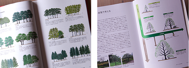 造園植栽術：編集部の本棚：おもしろ森学｜私の森.jp ～森と暮らしと心