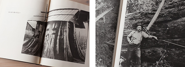 森へ―ダリウス・キンゼイ写真集（絶版）：編集部の本棚：おもしろ森学