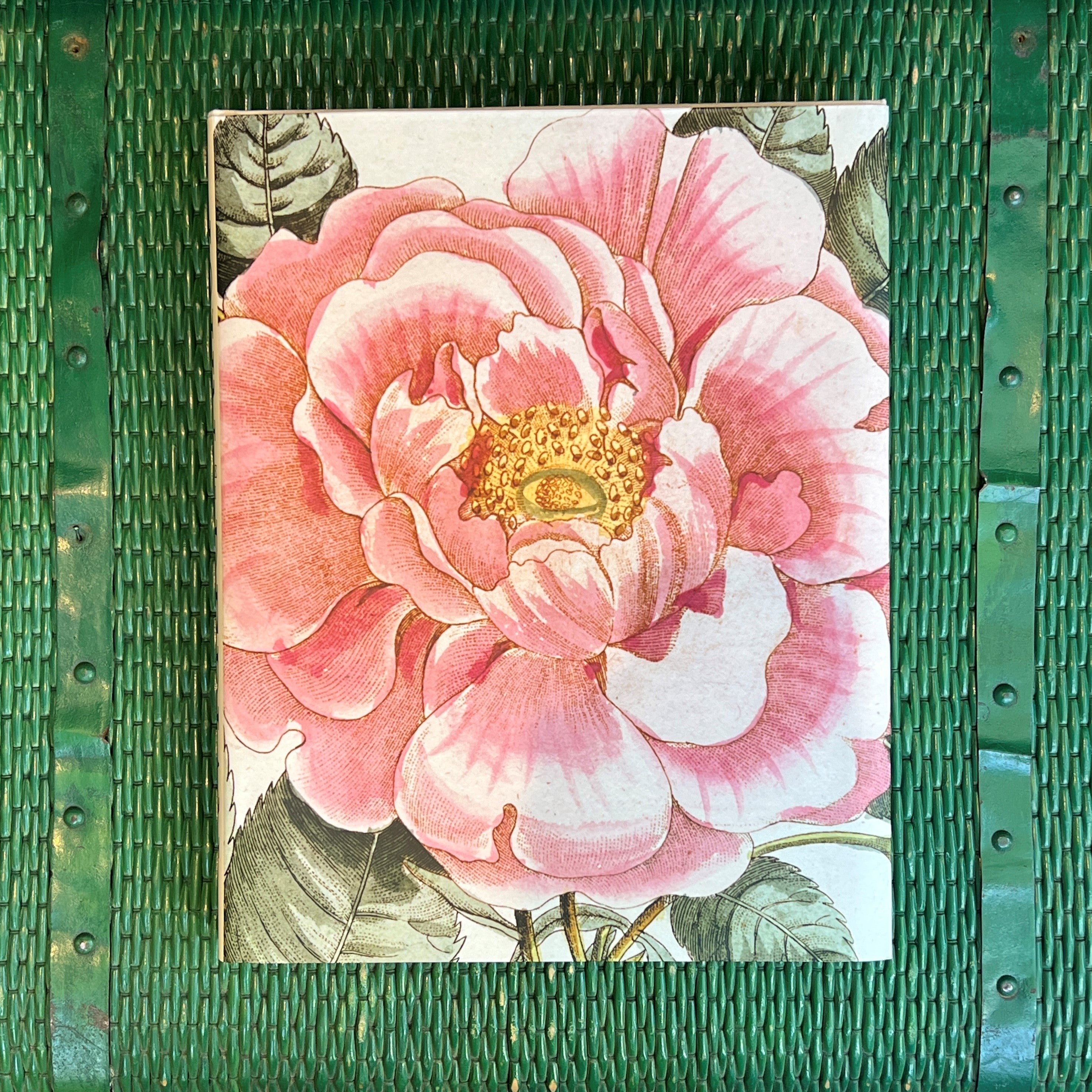 John Derian Picture Book II – Watson Kennedy