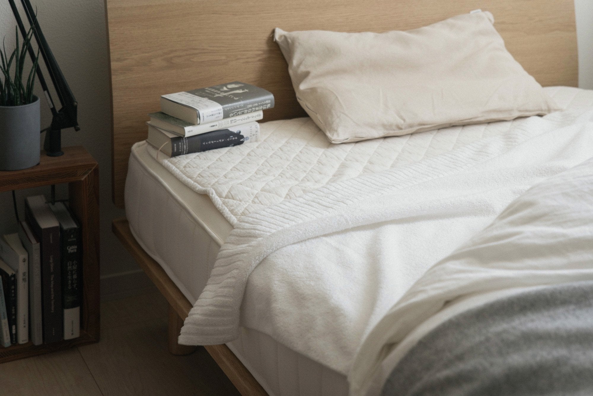 オーガニックエアープレミアム タオルケット｜イケウチオーガニック