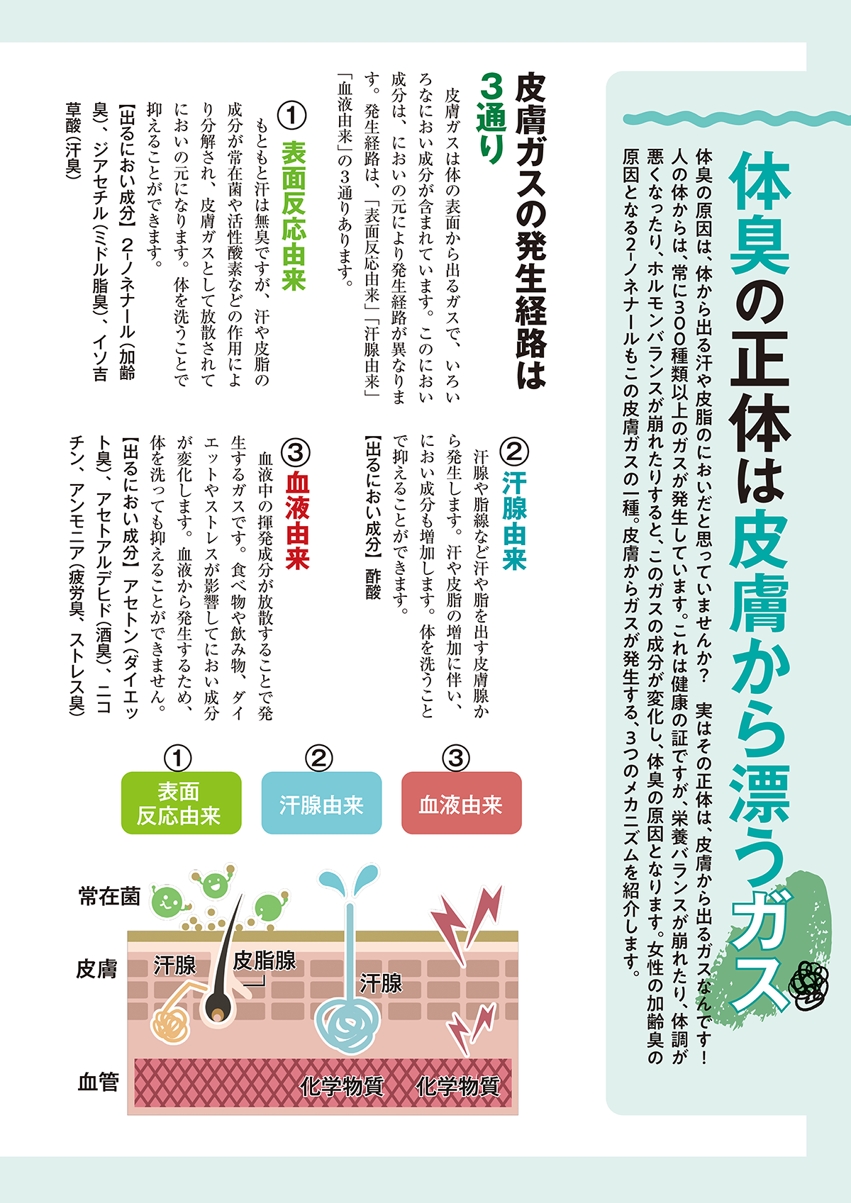 試し読み】若々マガジン7月号｜わかさ生活