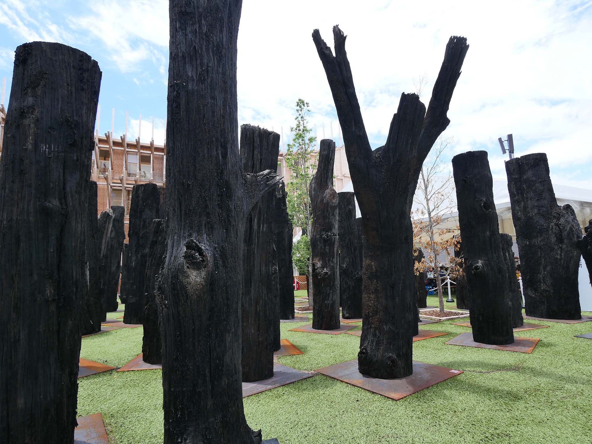 文明の森|2025年大阪・関西万博|日本万国博覧会と木のかかわり|12.木の