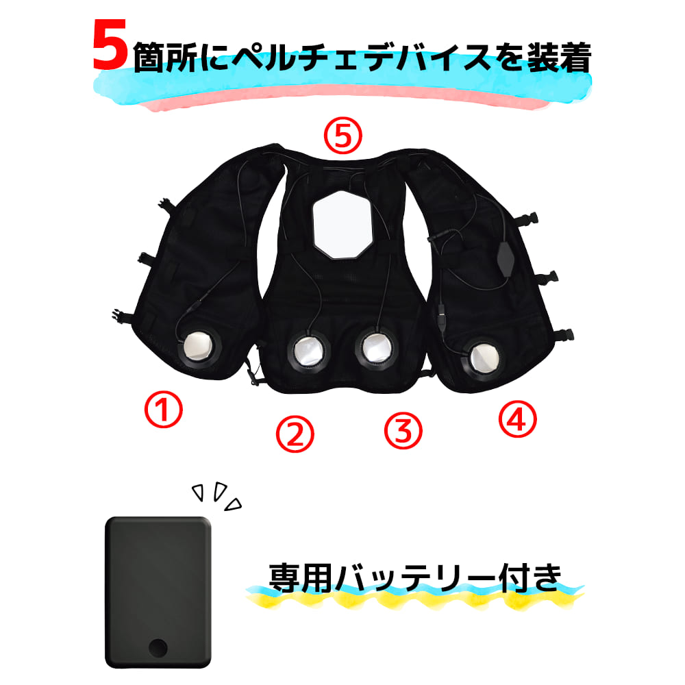 ワークマン ペルチェベストPro22025年モデルICE＆HEAT予備2個付き