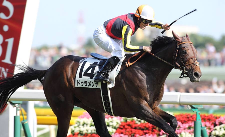 ドゥラメンテ（Duramente） | 競馬データベース | JRA-VAN World