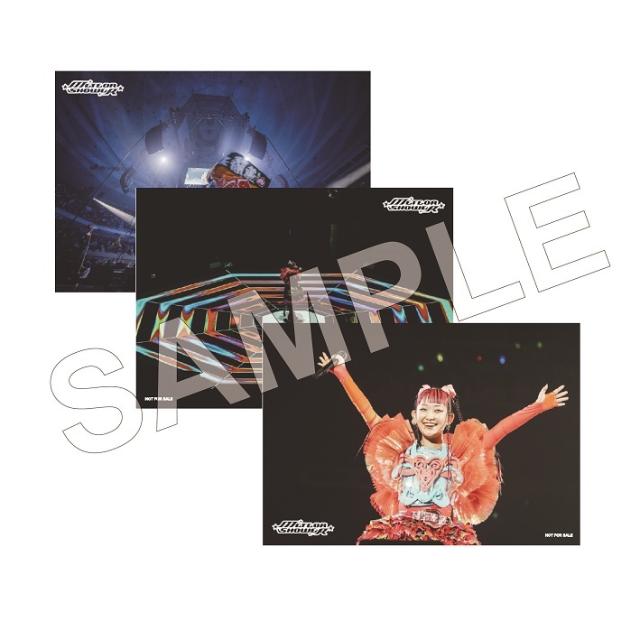 2024/9/25発売 水曜日のカンパネラ『日本武道館単独公演～METEOR