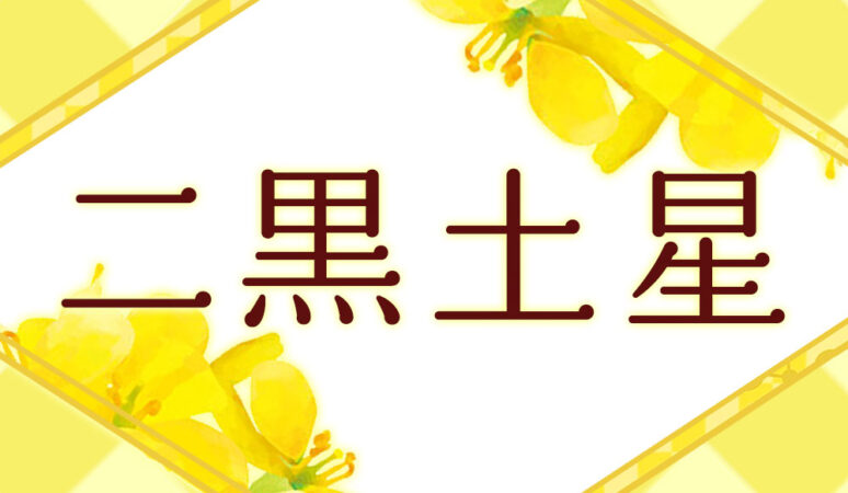 李家幽竹の開運風水】二黒土星は増やして、満たして、吸収する【2026年