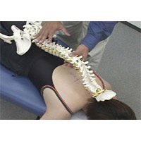 カイロプラクティック｜動画教材｜3B Scientific