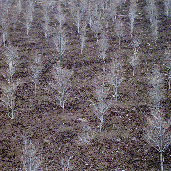 Christopher Willits | 12k