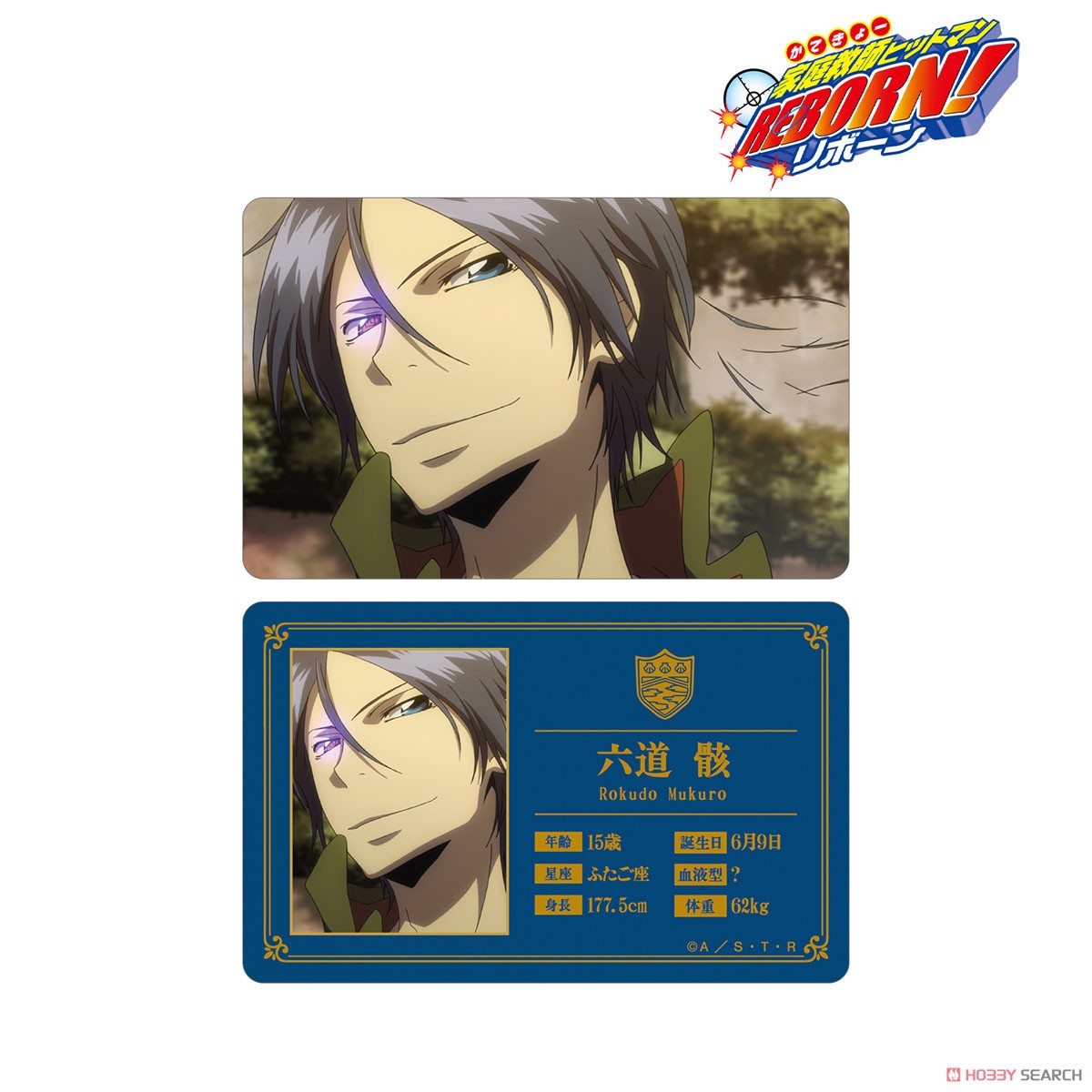 家庭教師ヒットマンREBORN！ 六道骸 ビジュアルカード (キャラクター