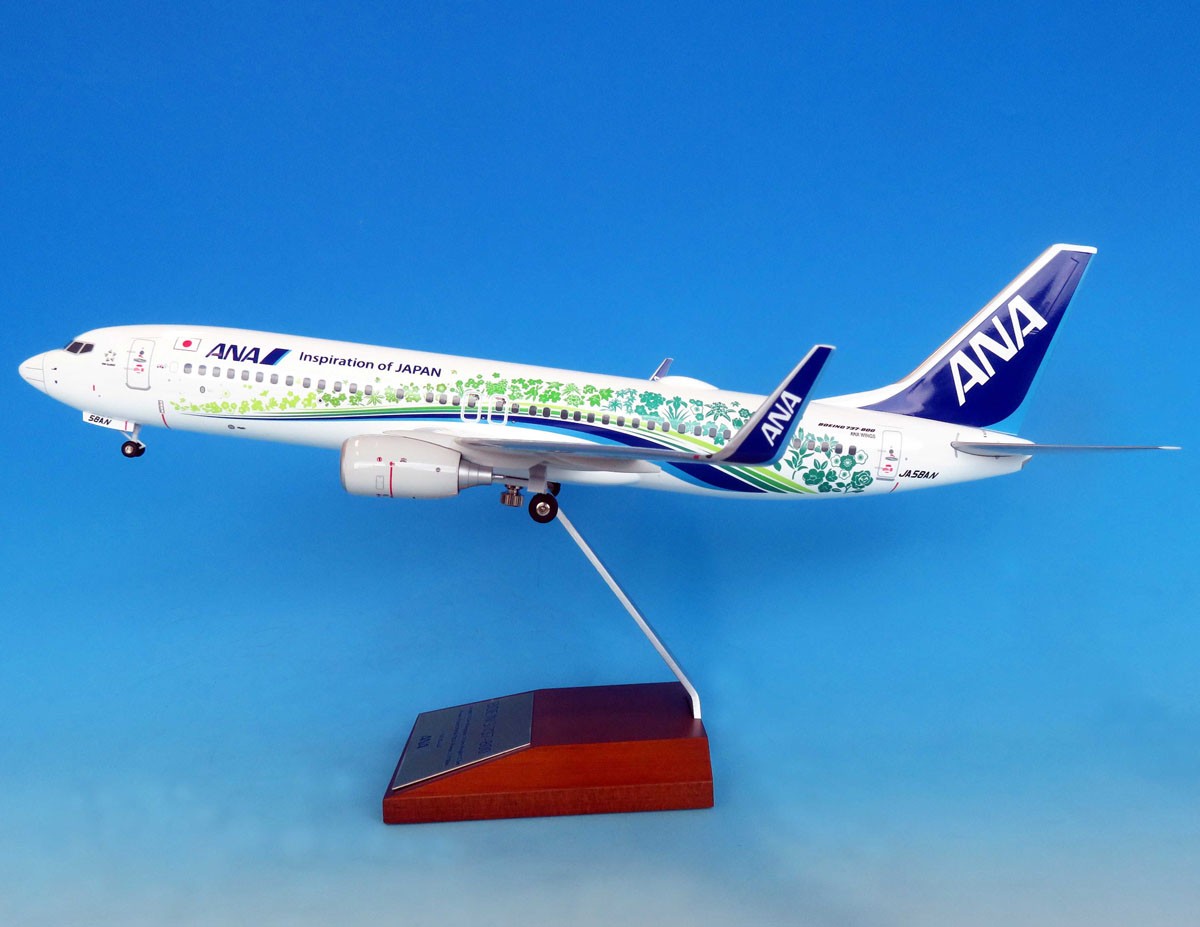 BOEING 737-800 JA58AN ANAふるさとJET スナップフィット(WiFiレドーム