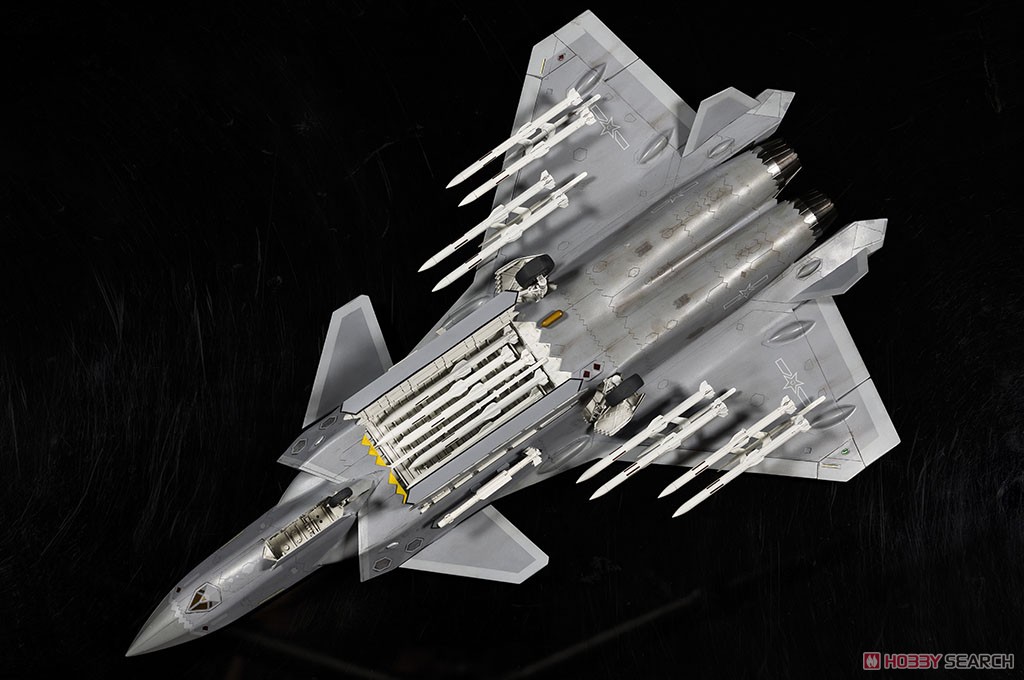 中国空軍 J-20戦闘機 マイティ・ドラゴン `ビーストモード