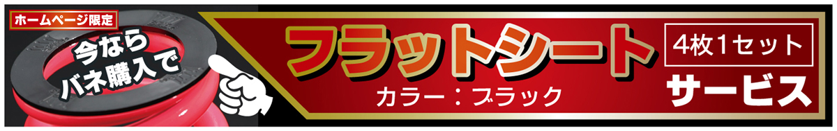 チャラバネ・ID66（65-66兼用）-H100 商品詳細 広島県東広島市西条町の
