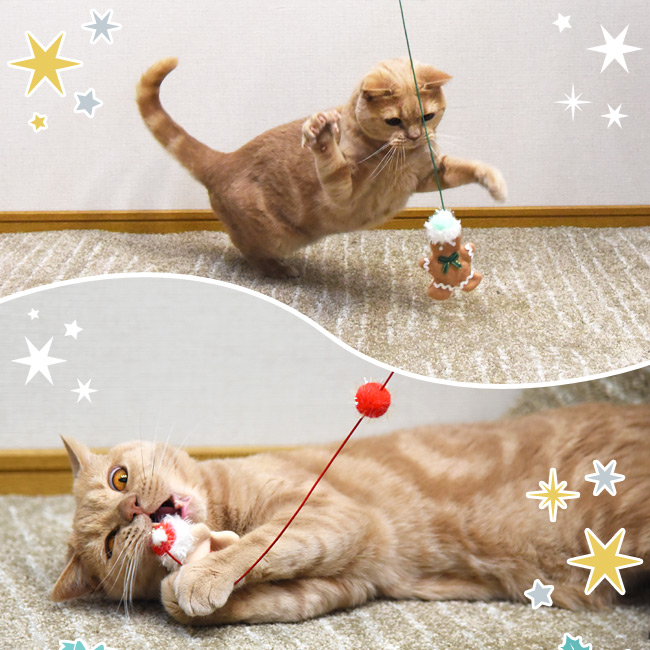 とびつくにゃんじゃらし ジンジャーマンクッキー ゴロにゃんオリジナル