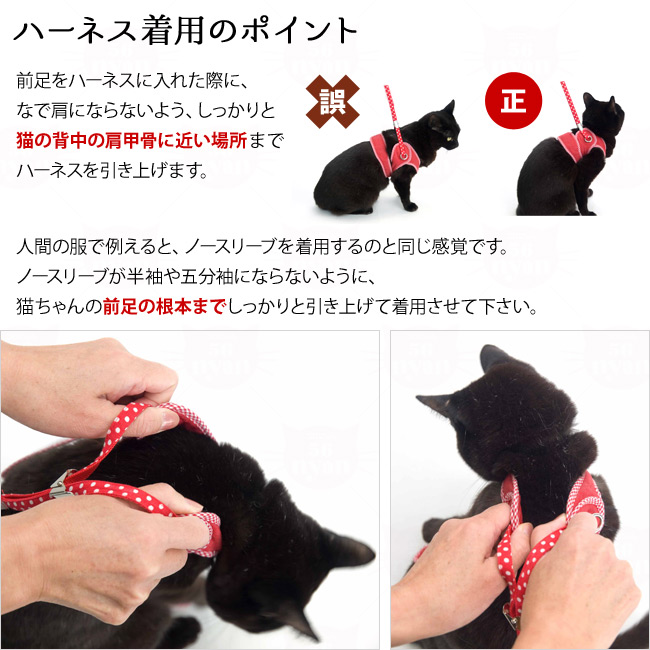ゴロにゃんオリジナル 猫用ハーネス ダブルブロックタイプ 無地