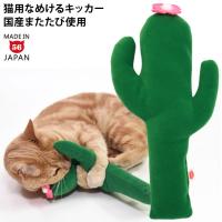 ゴロにゃんオリジナル なめけるキッカー サボテン (36999) 国産