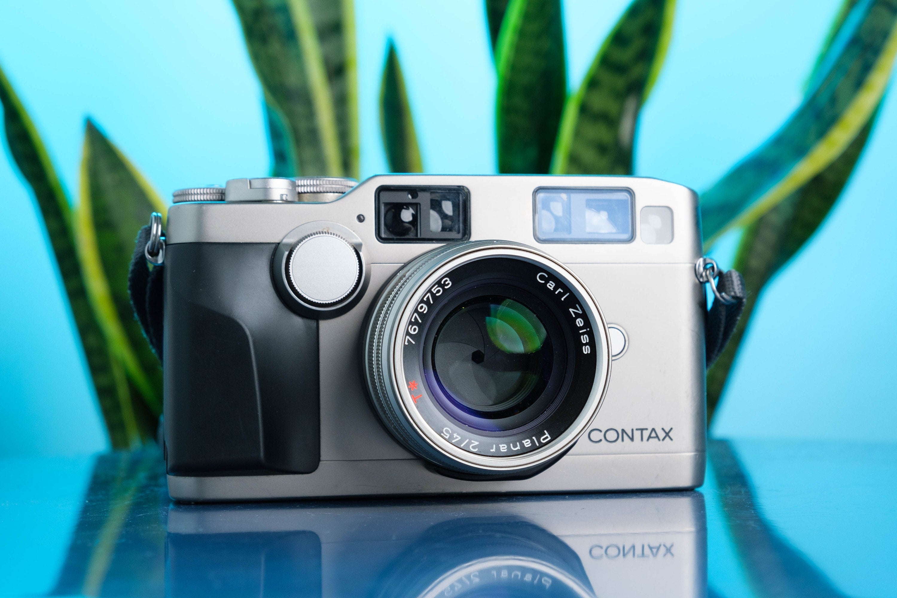 il_fullxfull.5624506549_t9y0.