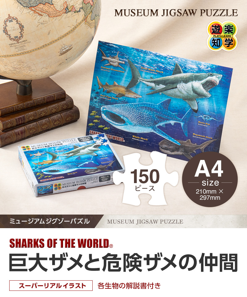 ミュージアムジグソーパズル 巨大ザメと危険ザメの仲間│カロラータ