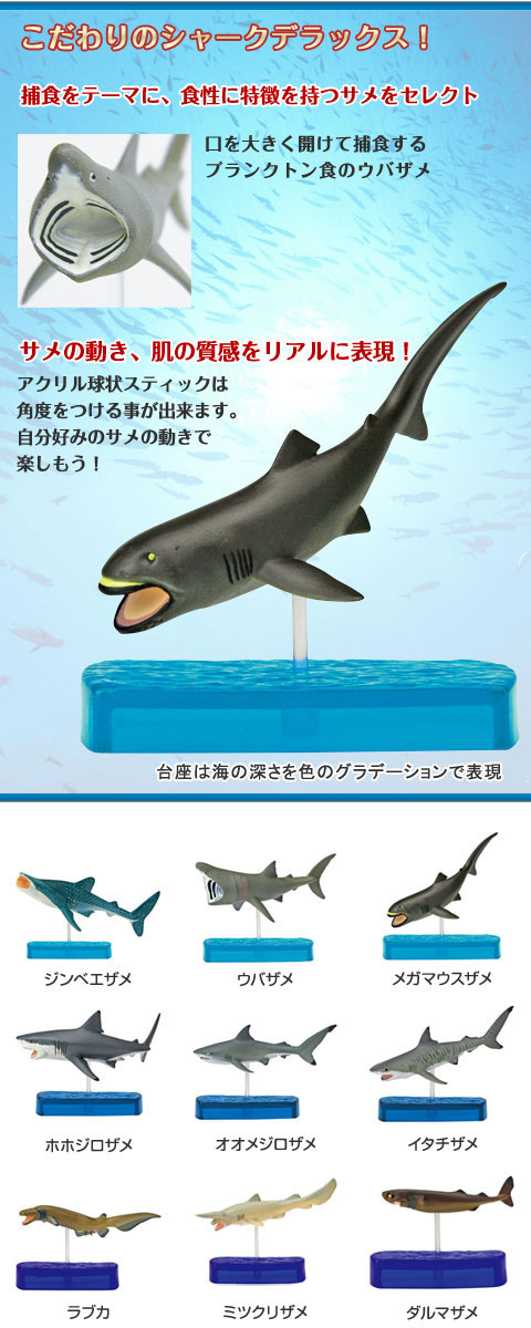 動物 生物 立体図鑑 シャークデラックスボックス / カロラータ