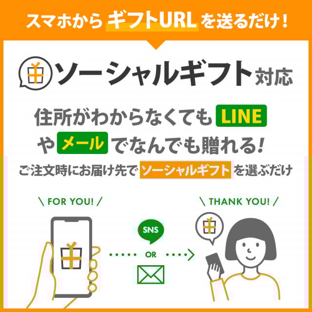 Christofle (クリストフル) Uni Chopsticks(ユニ ペア箸) ノアール(黒