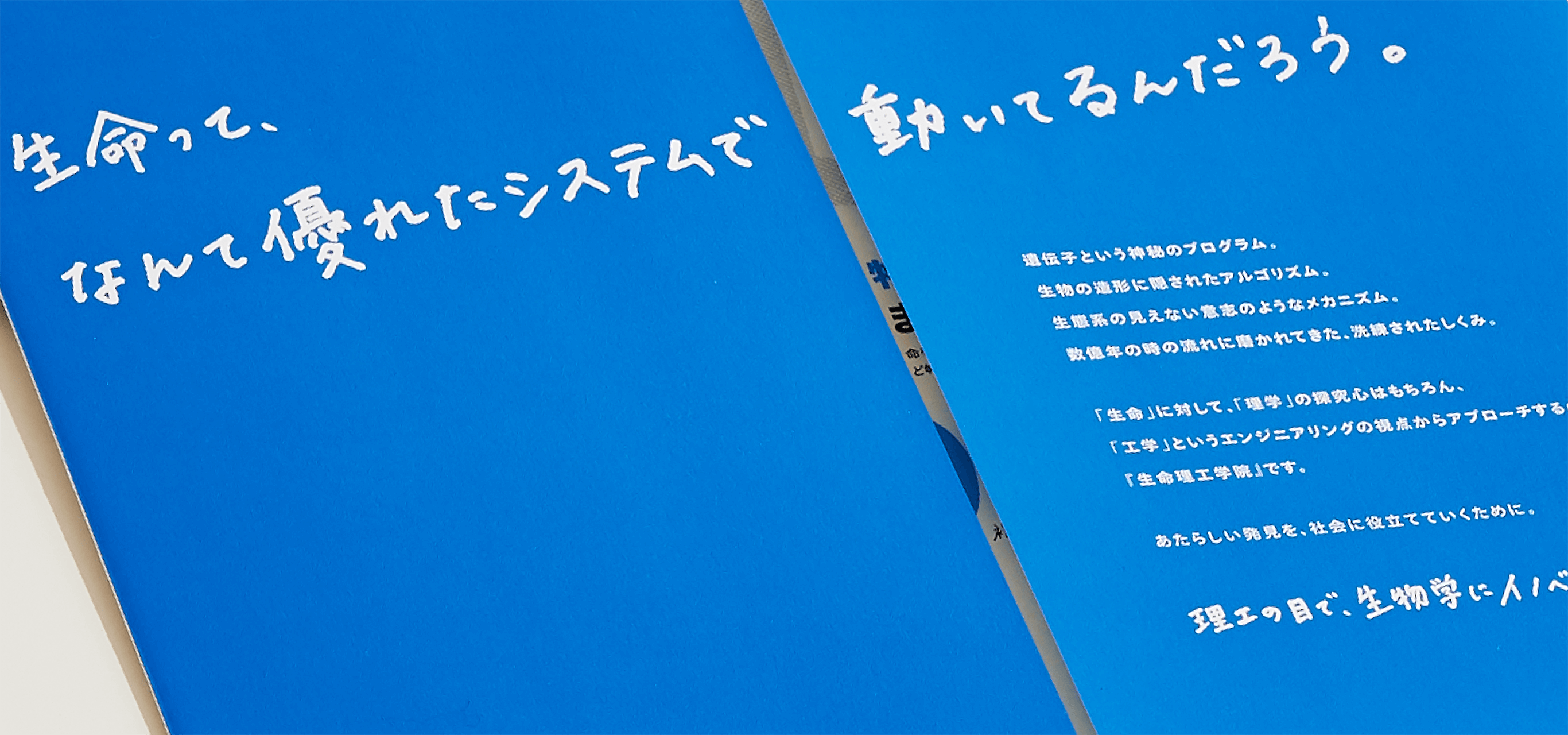 東京工業大学生命理工学院 受験生向けパンフレット ｜ 事例紹介