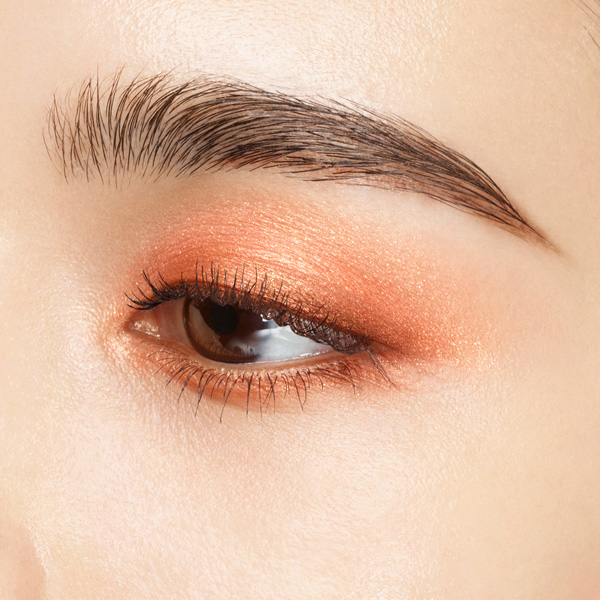 シグニチャー カラー アイズ / SUQQU(スック)(パウダーアイシャドウ